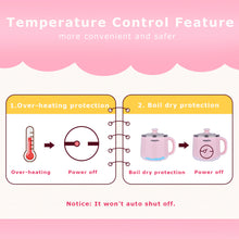 Load image into Gallery viewer, Dezin Electric Hot Pot-Pink
